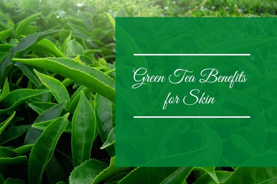 8 Benefits of Green Tea for Skin Whitening and Brightening