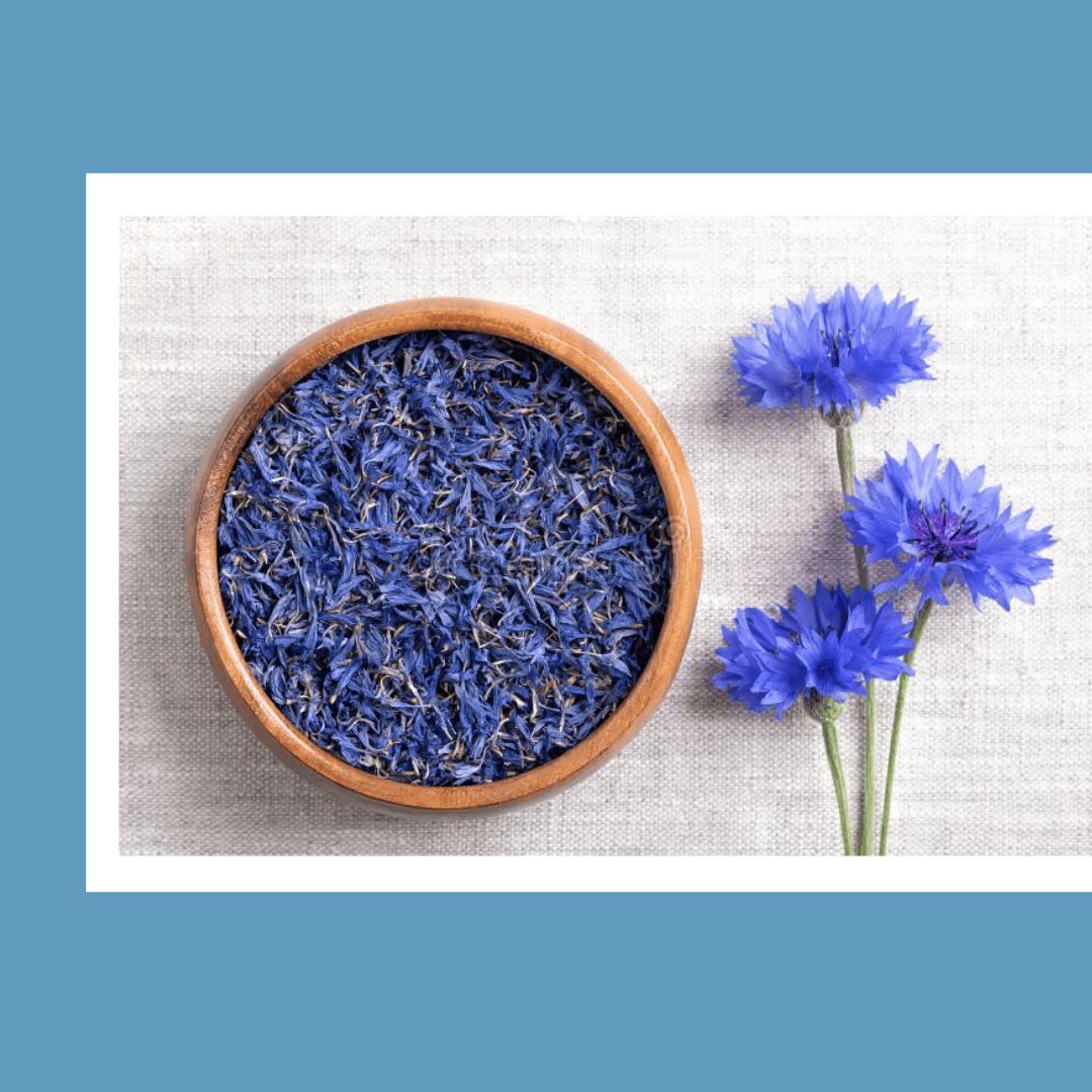 blue conrflower herbal tea,natural flower blendtea, dewleap tea, blue cornflower