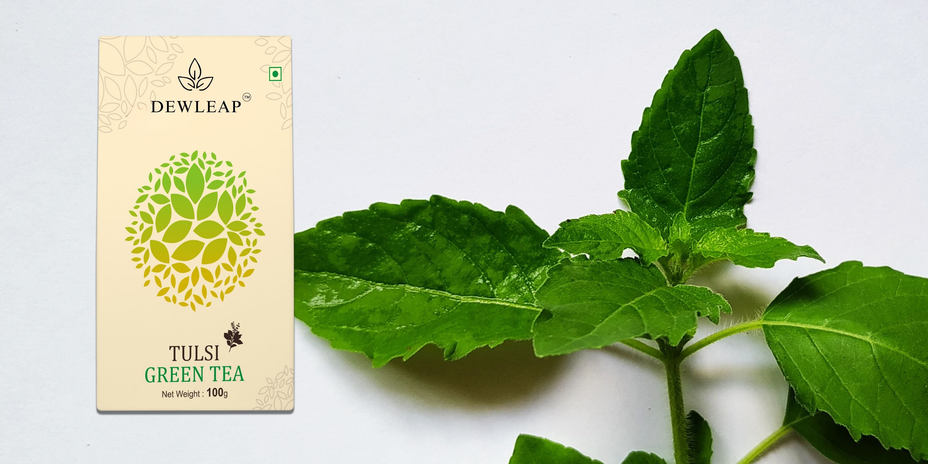 tulsi green tea, tulsi green tea benefits, organic tulsi green tea india,organic tulsi green tea, tulsi green tea for weight loss, best tulsi green tea, best green tea, green tea, dewleap, dewleap green tea, dewleap tulsi green tea