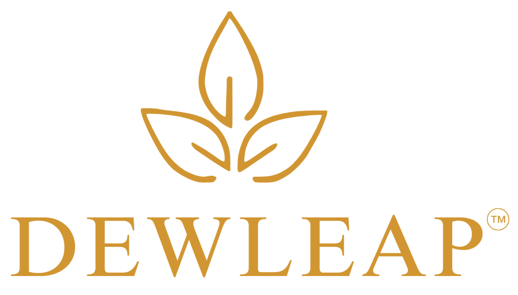 dewleap logo png