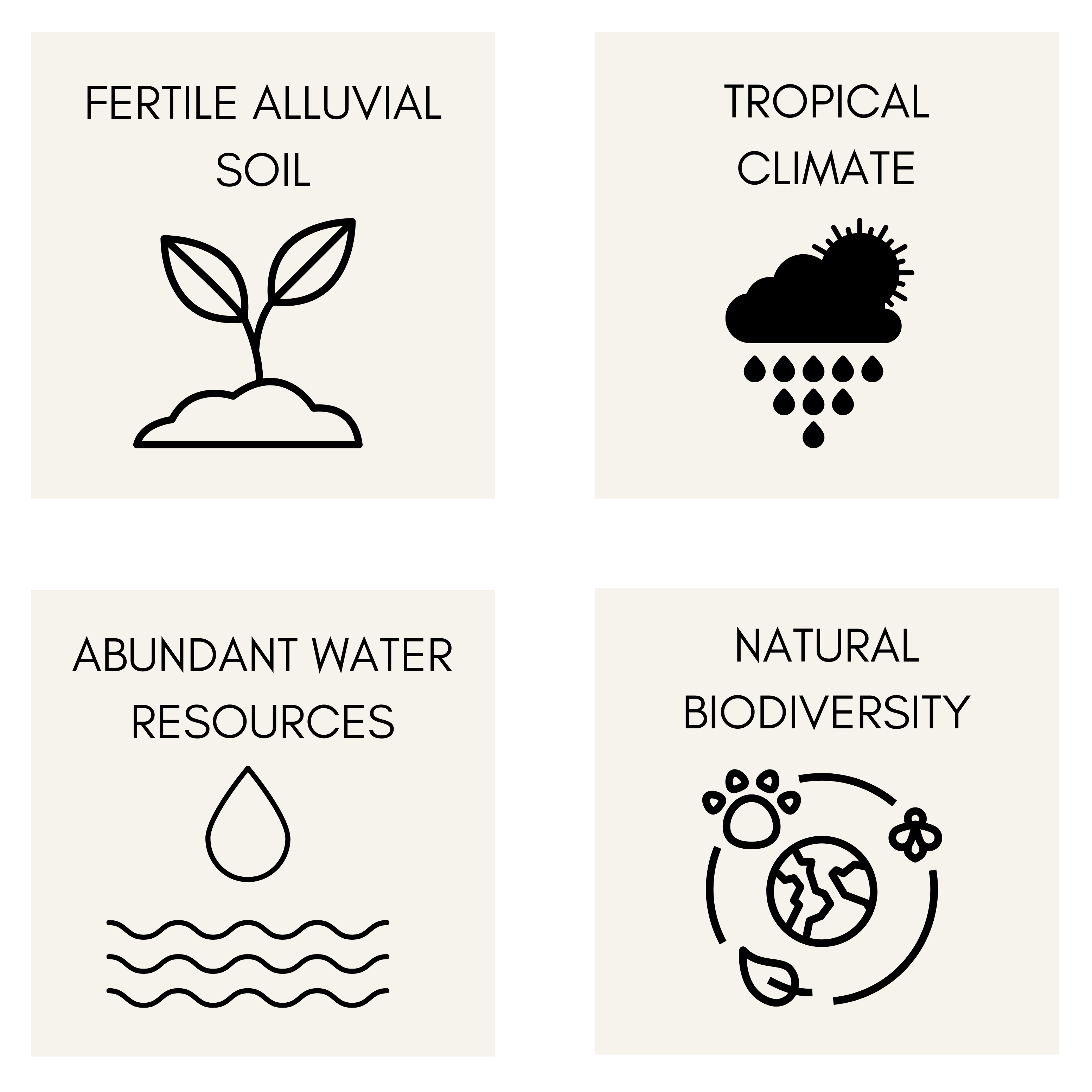 Reasons for Best Products of Assam from Dewleap