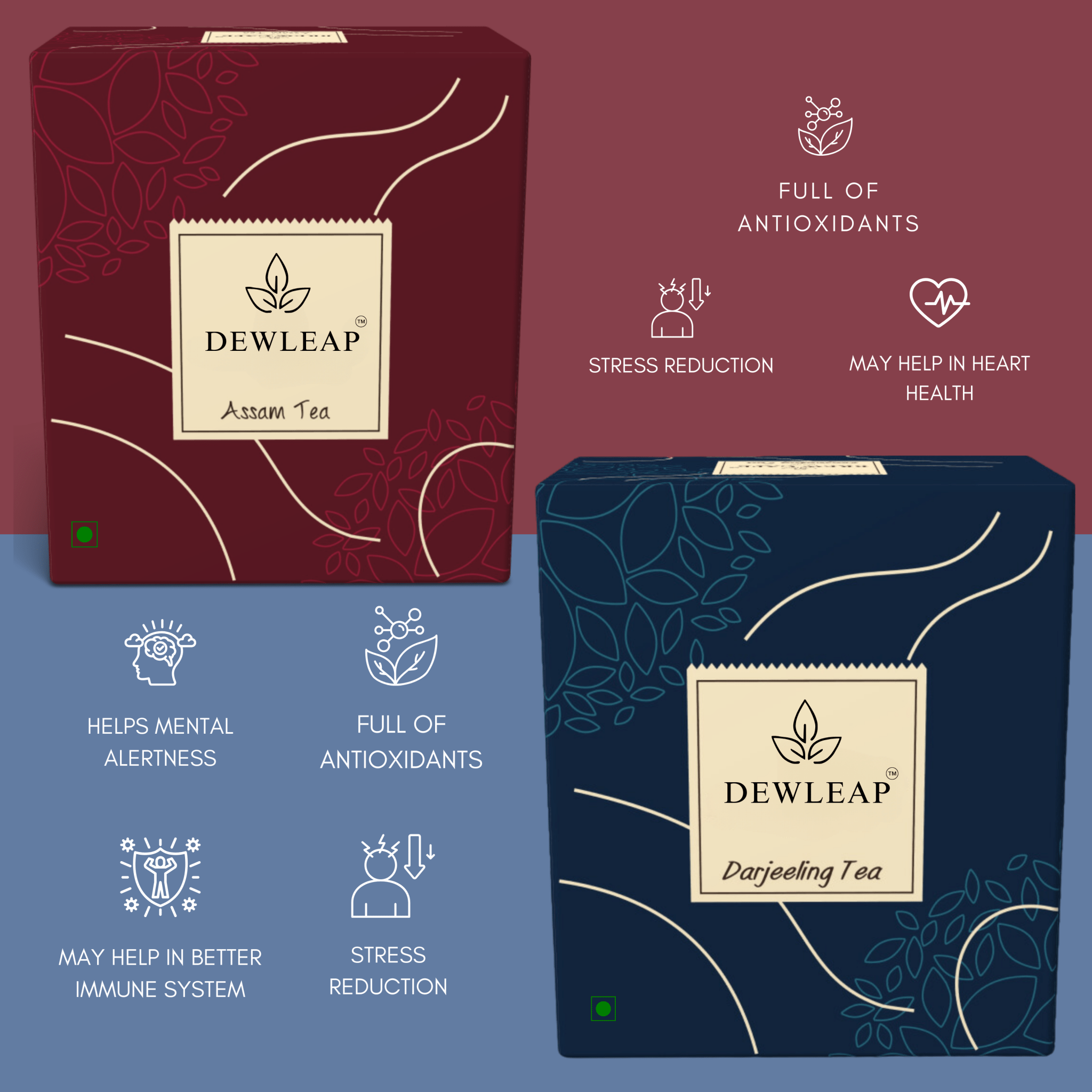 best assam tea and best first flush darjeeling loose leaf tea to buy online