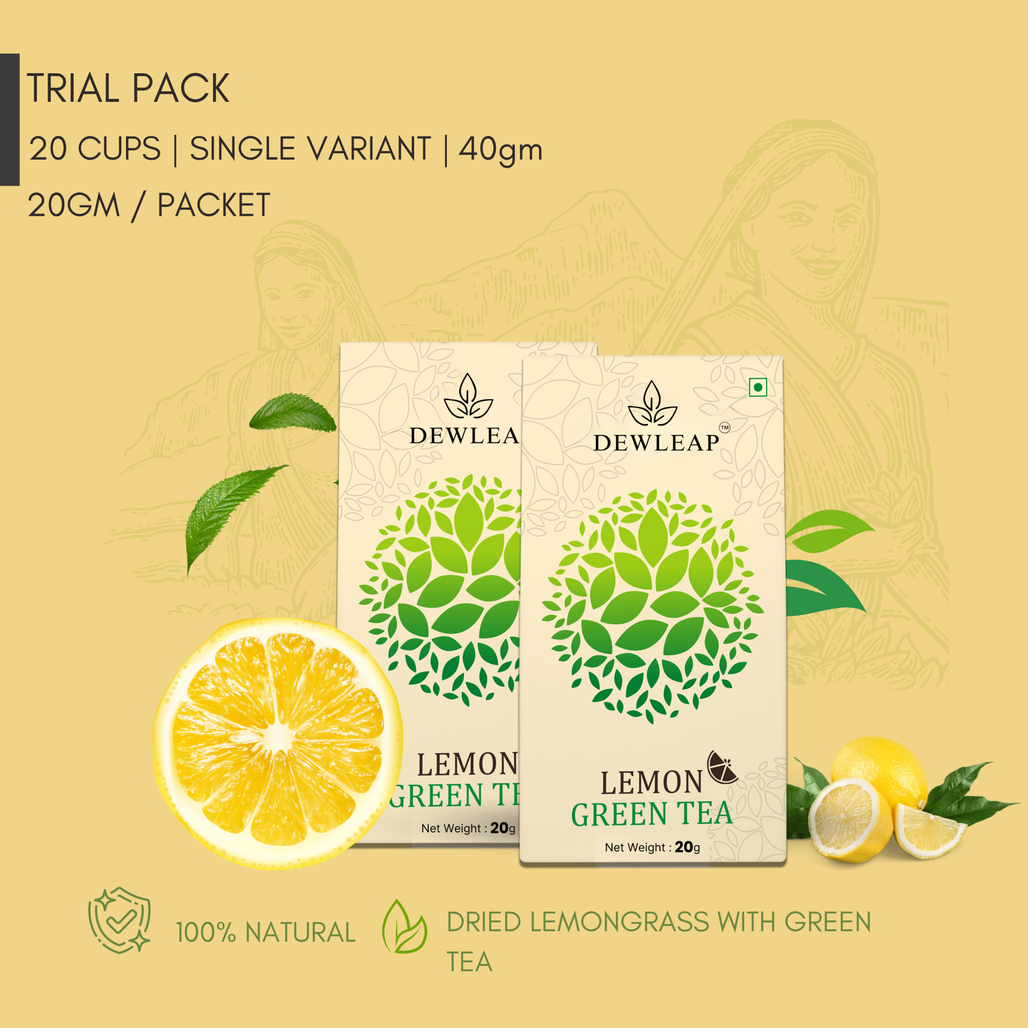 best lemon green tea trial pack with great benefits by Dewleap