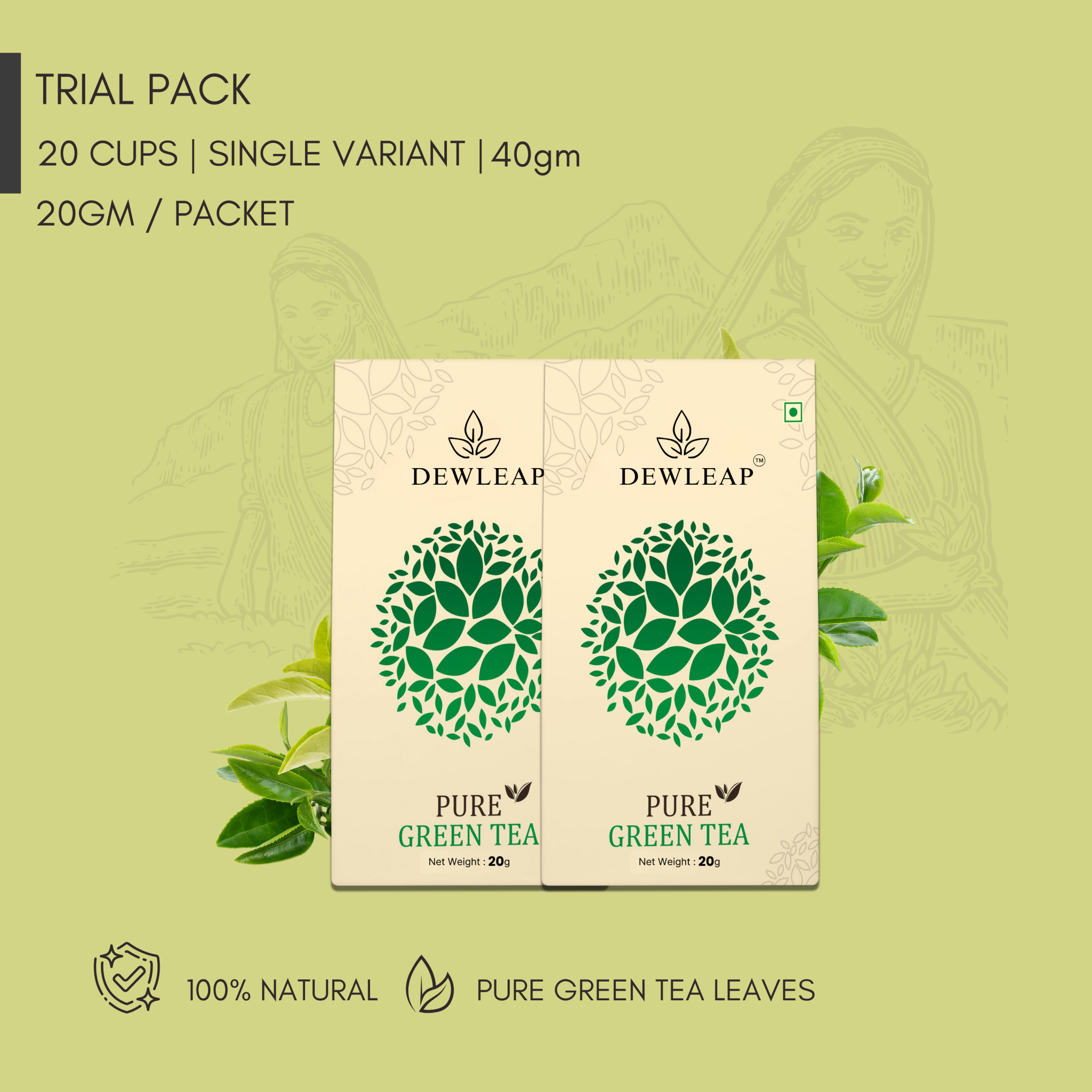 best green tea trial pack to buy online with high antioxidant