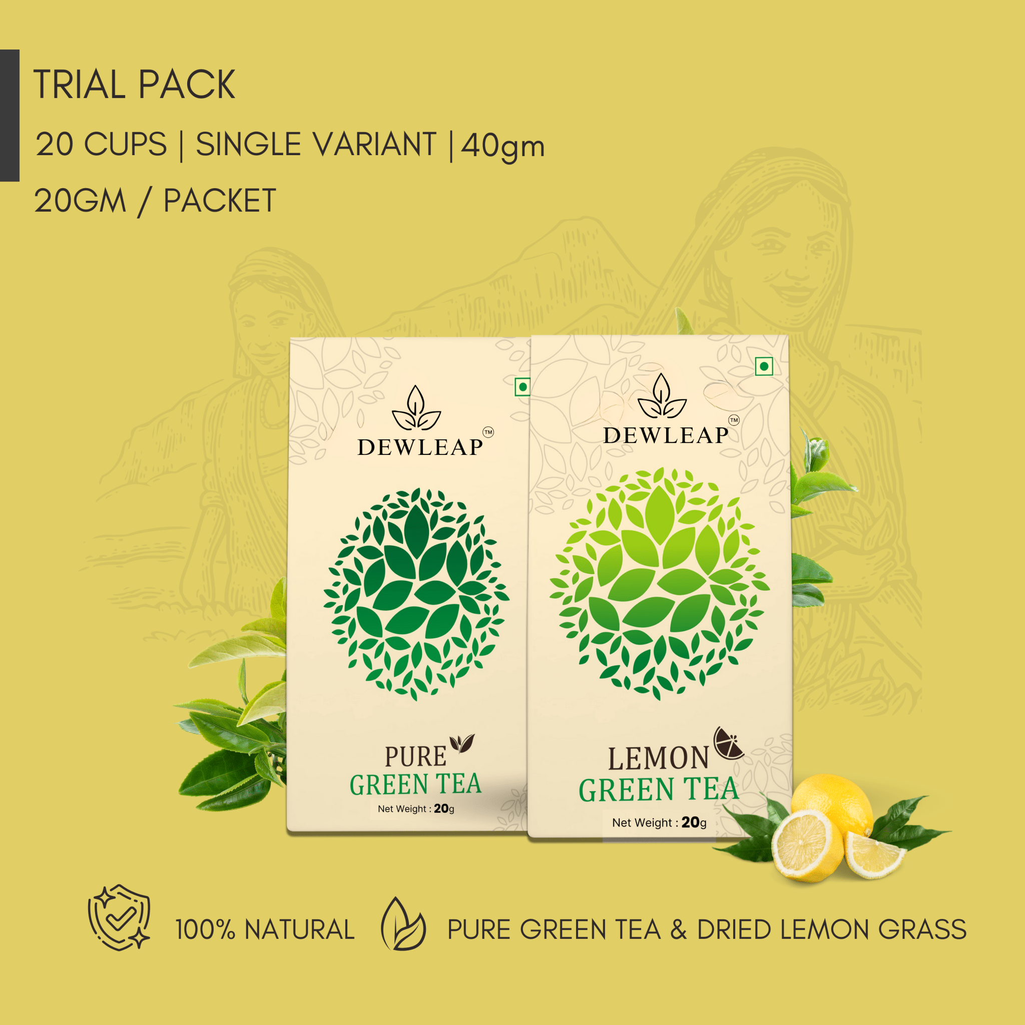 The best green tea to buy online as a trial pack with a combination of both pure and lemon green tea from dewleap