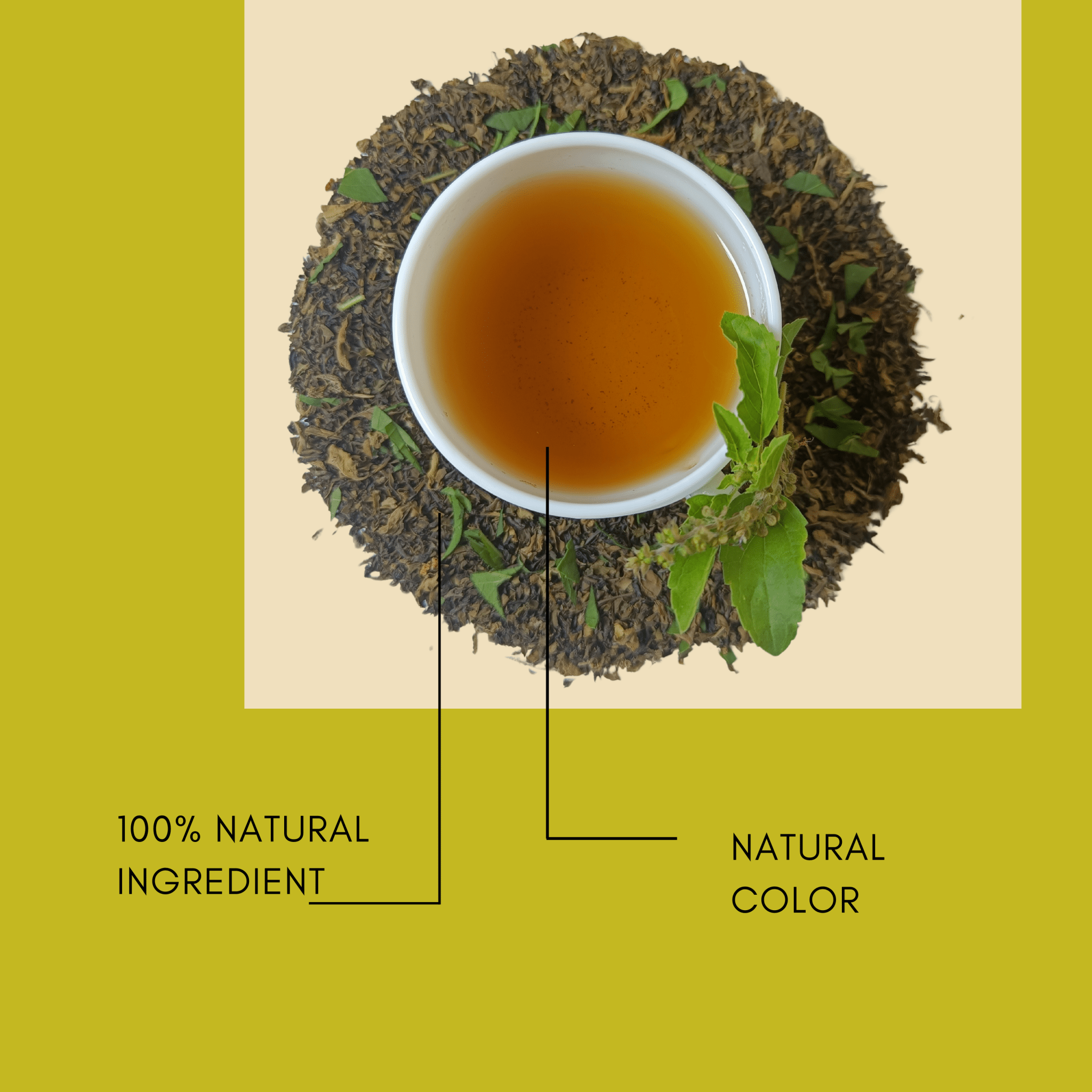 natural color of best tulsi green tea