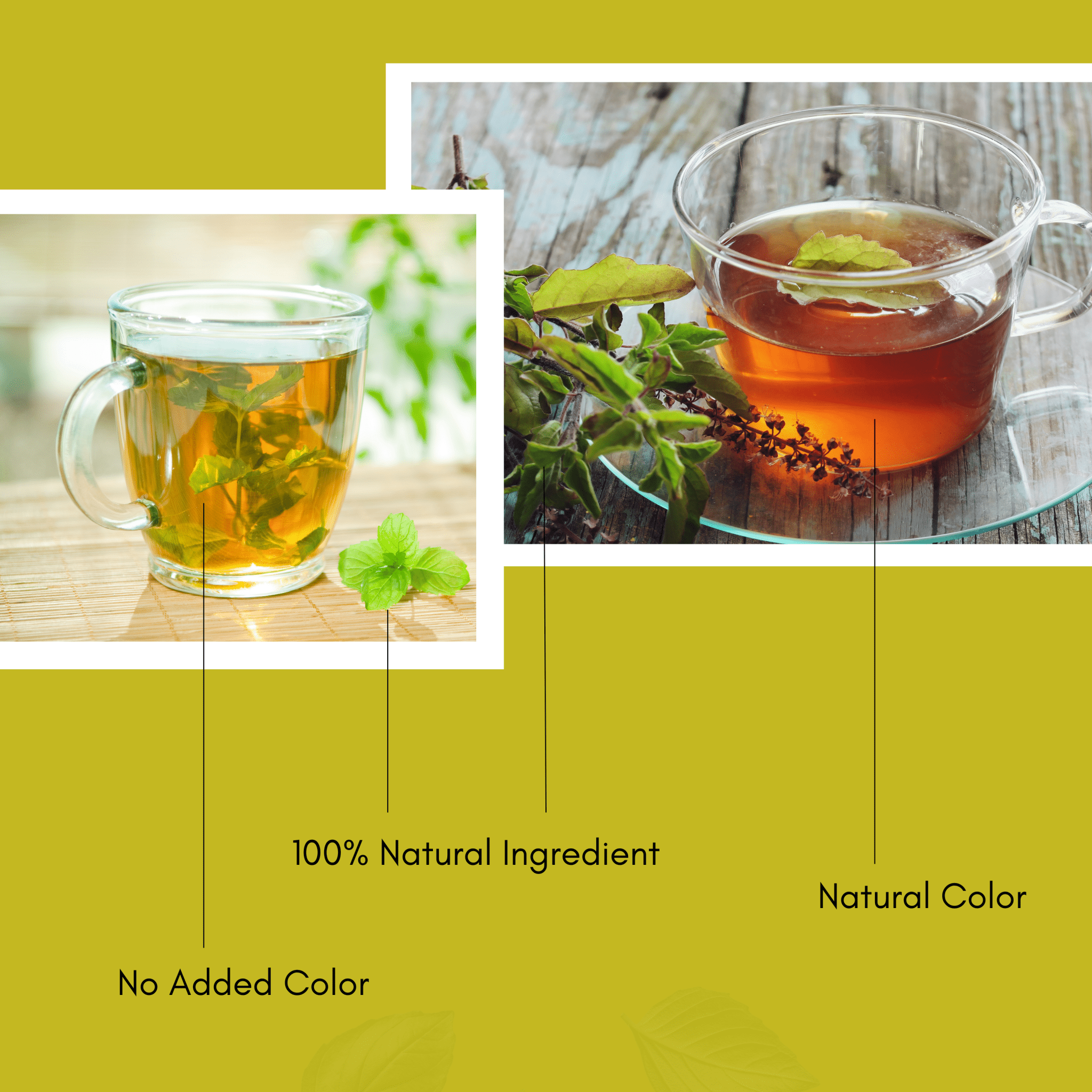 natural color tulsi and mint green tea available to buy online from Dewleap