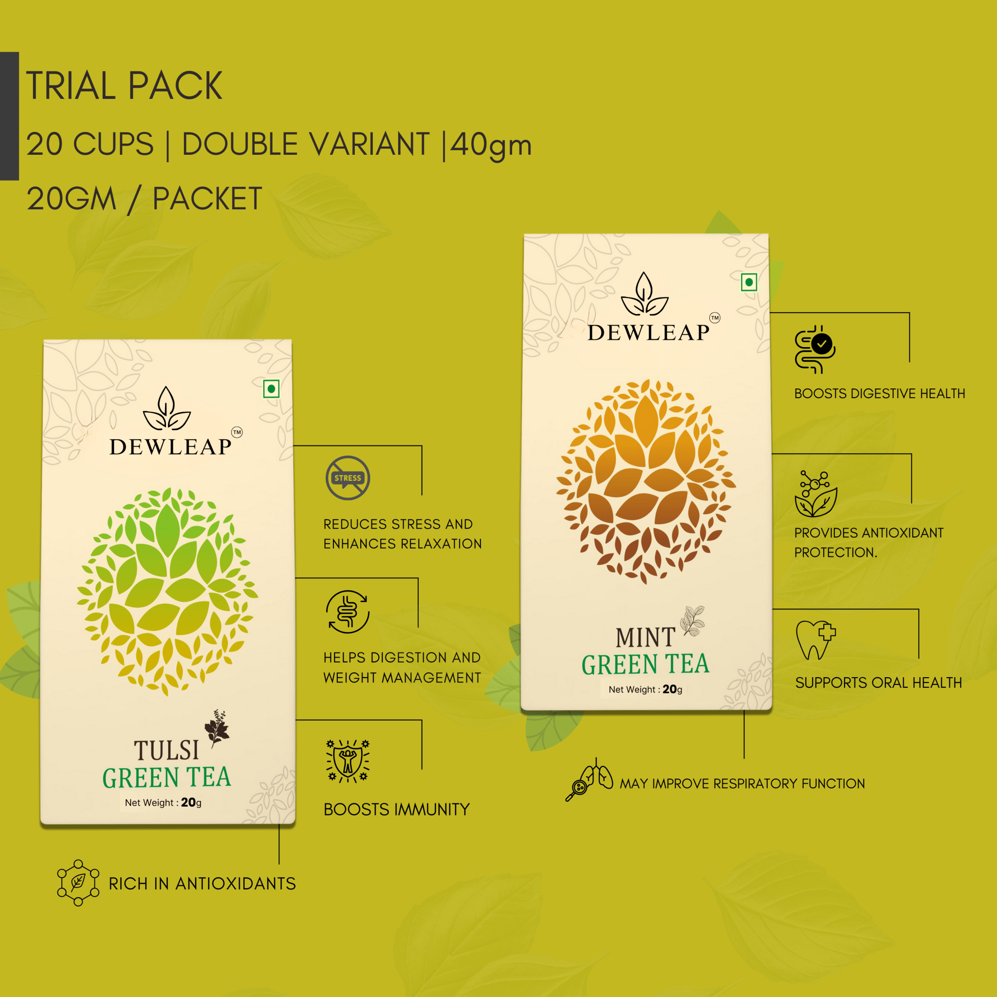 trial pack of best tulsi and mint green tea by dewleap