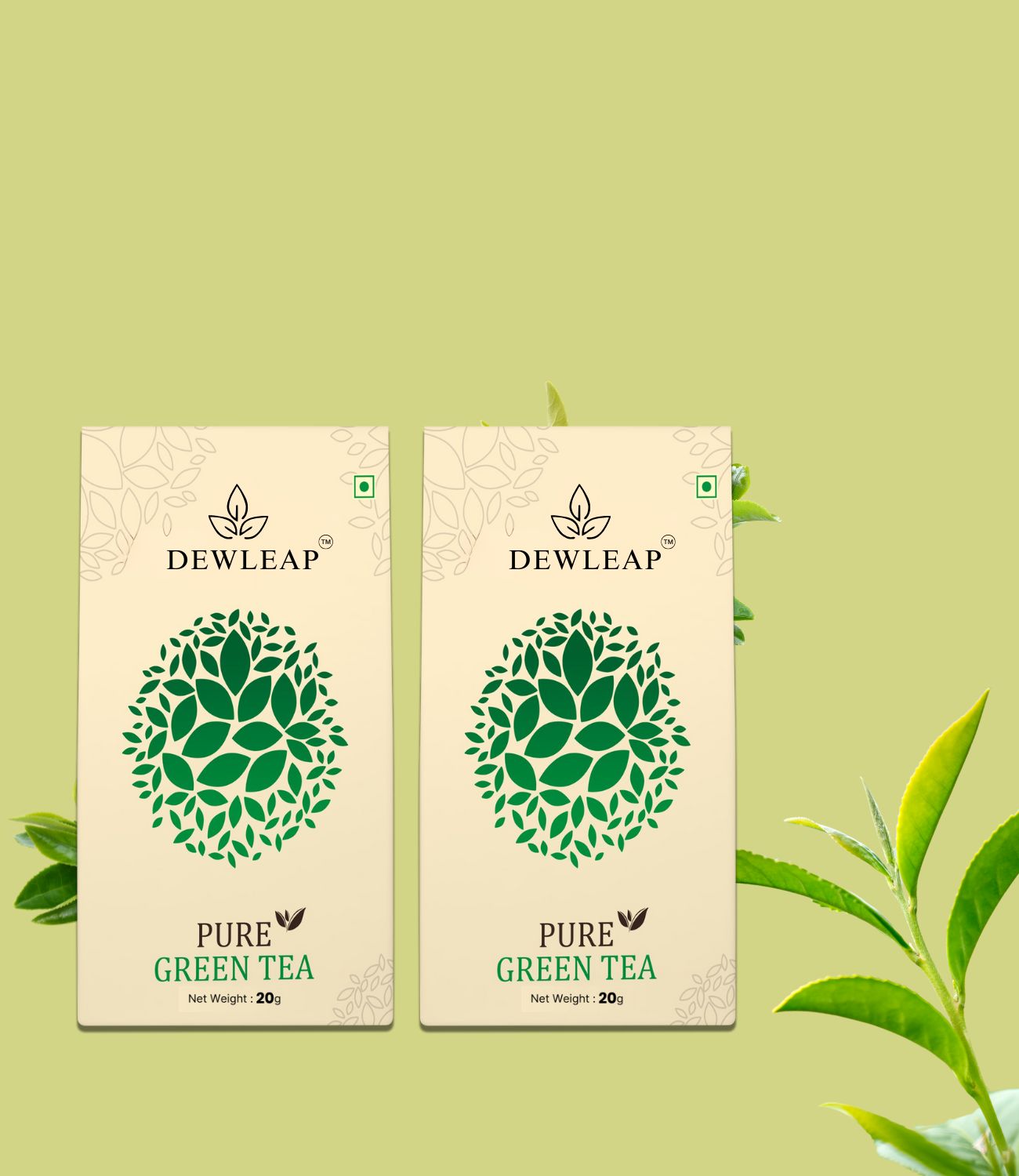 detox tea, pure green tea, best green tea online india, organic green tea india, dewleap tea, green tea for weight loss, antioxidant tea, buy green tea online, dewleap tea 